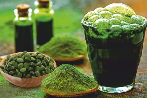 Food Supplement Food Supplement