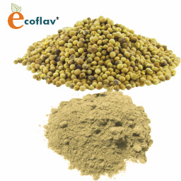 Natural Vegetable Powder, Dehydrated Vegetable Powder Manufacturers ...