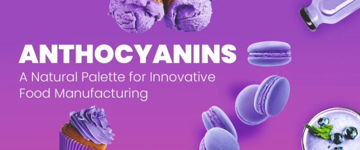 Anthocyanins, A Natural Palette for Innovative Food Manufacturing