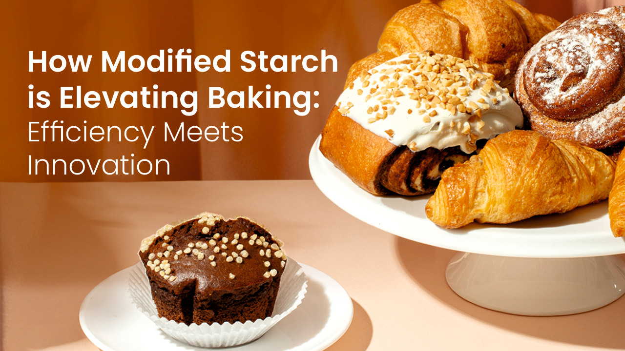 modified starch