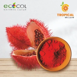 Vinayak Corporation - ECOCOL - Organic Food Color Manufacturer in India - Annatto Natural Food Color Supplier in India