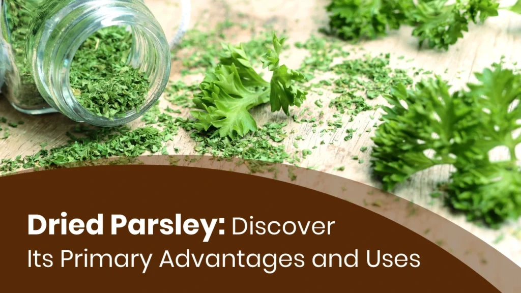 Dried parsley by Vinayak Ingredients: Top manufacturer and exporter of natural ingredients