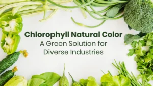 Eco-Friendly-Chlorophyll-Color-Manufacturers-vinayak-ingredients-India-Pvt-Ltd