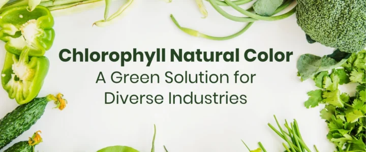 Eco-Friendly-Chlorophyll-Color-Manufacturers-vinayak-ingredients-India-Pvt-Ltd