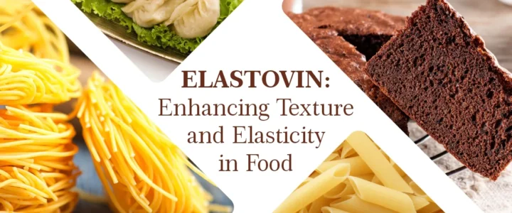 elastovin -tapioca starch-manufacturers -&-exporters-vinayak- ingredients -india-pvt-ltd