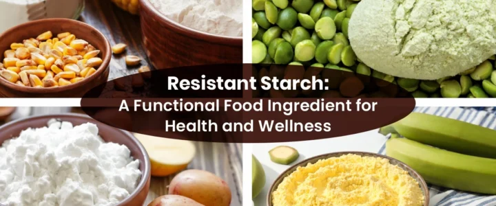 High-quality Resistant Starch supplements by Vinayak Ingredients for gut health, weight management, and glycemic control.