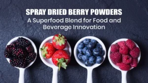 Spray dried berry powder benefits for food and beverage innovation